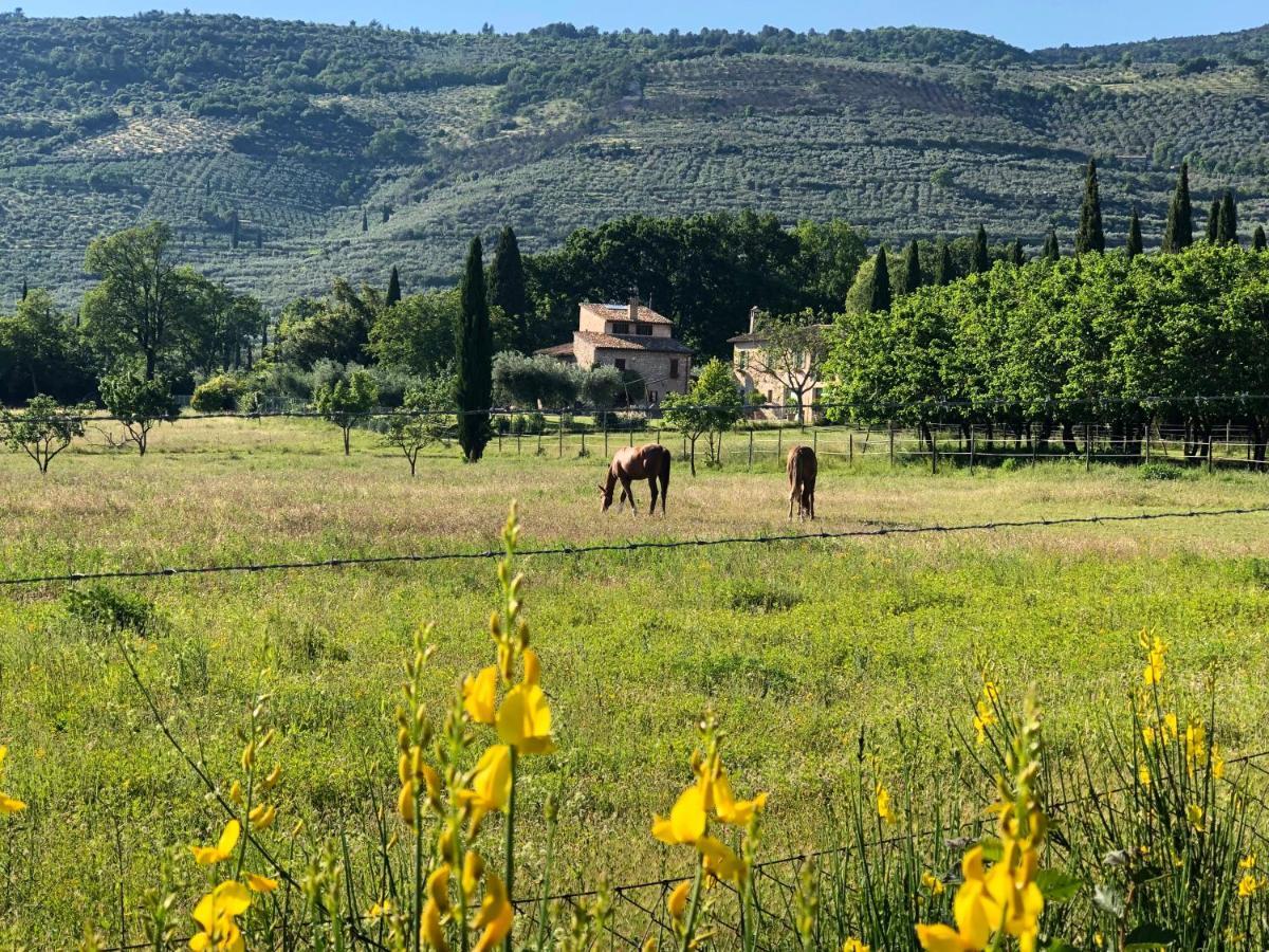 Villa Arcadia Spello Exterior foto