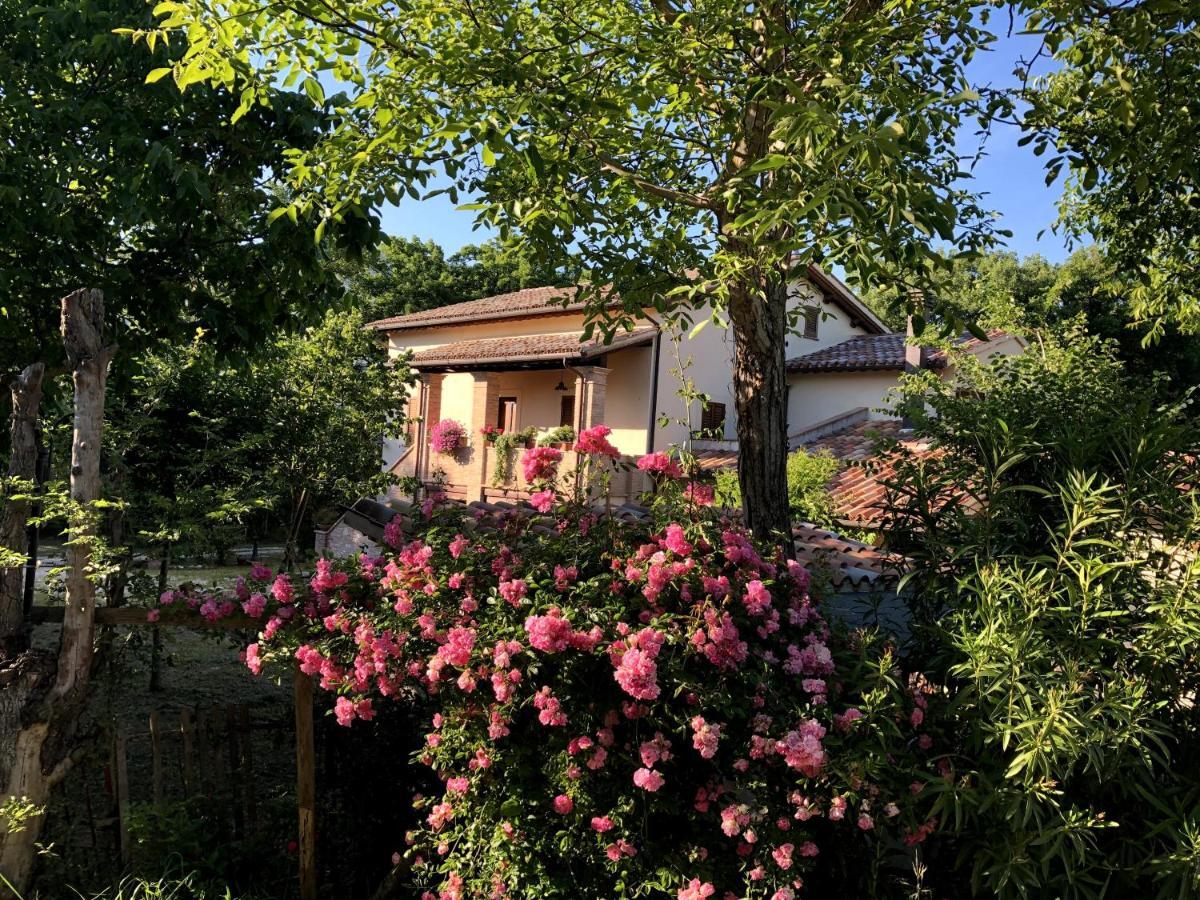 Villa Arcadia Spello Exterior foto